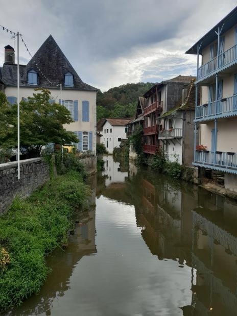 Maison Ichabelenia Salies-de-Béarn Kültér fotó